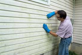 Best Aluminum Siding Installation  in New Buffalo, MI